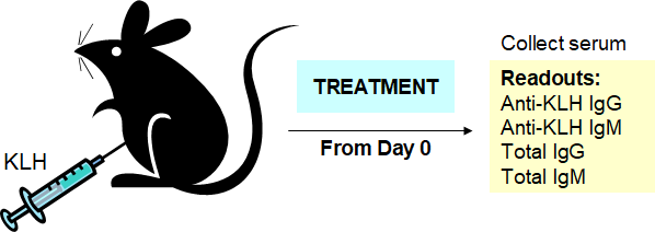 Hooke Contract Research T Cell Dependent Antibody Response Tdar Assay